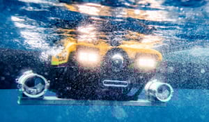 Read full post: Case Study: VideoRay and Underwater Electrical Safety